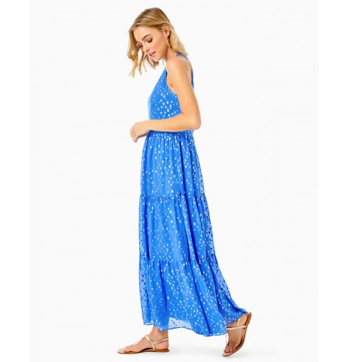 Beccalyn Maxi Dress