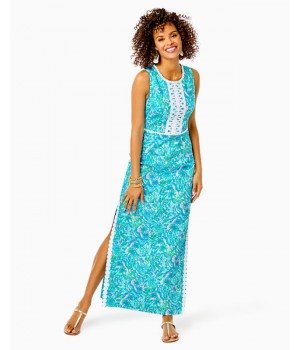 Ashler Maxi Shift Dress