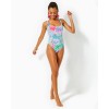 Brin One-Piece Swimsuit