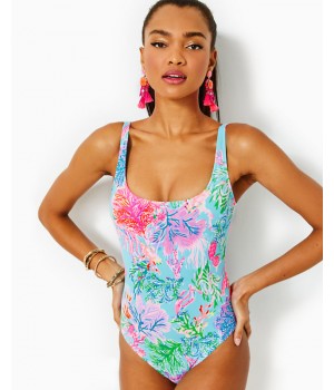 Brin One-Piece Swimsuit