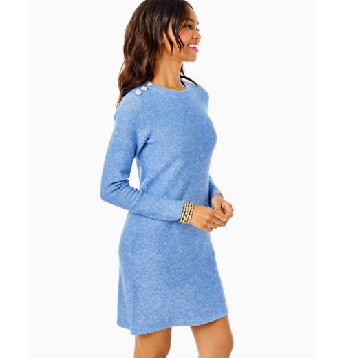 Morgen Sequin Sweater Dress