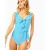 Delphie One-Piece Swimsuit