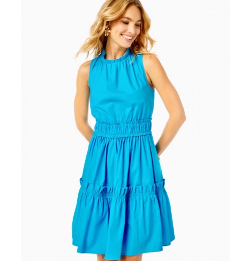 Elina Stretch Ruffle Dress